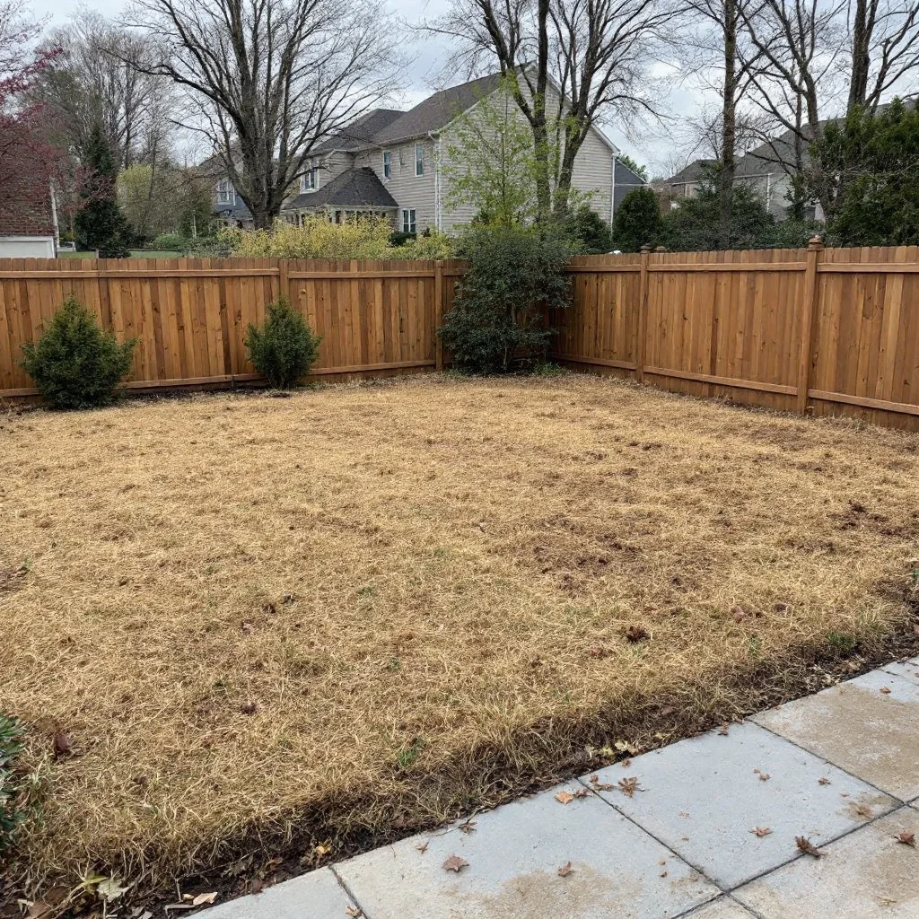 Garden Design Installation - Before